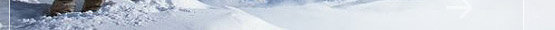 Seo optimization, search engine optimization specialist