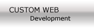 custom web