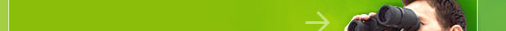 Search engine optimization service, Search engine placement